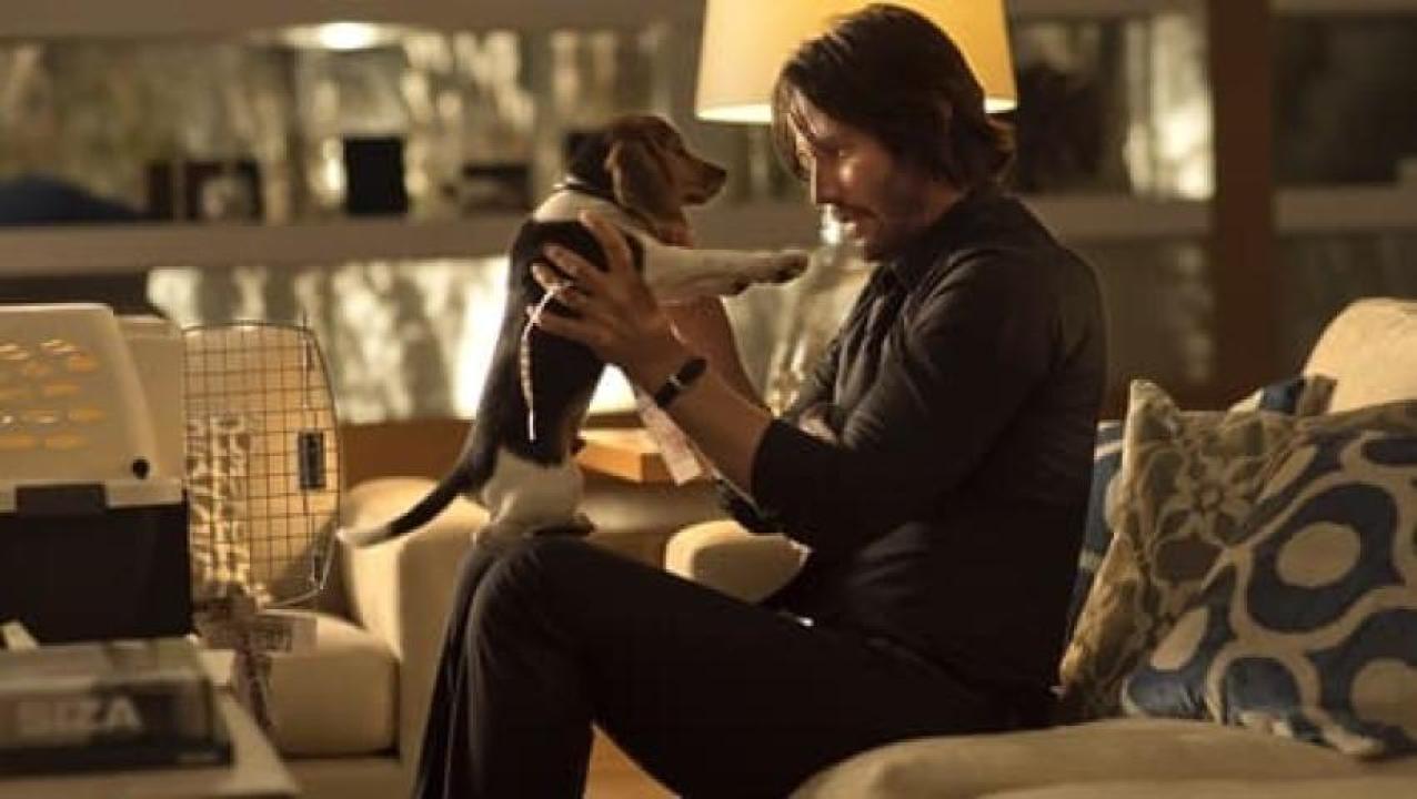 مشاهدة فيلم John Wick 1 2014 مترجم ايجي بست